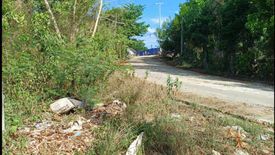 Land for sale in Cogon, Bohol