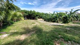 Land for Sale or Rent in Siquijor, Siquijor