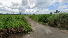 Land for sale in Baras, Camarines Sur