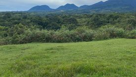 Land for Sale or Rent in Sayawan, Bukidnon