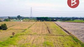 Land for sale in Nong Irun, Chonburi