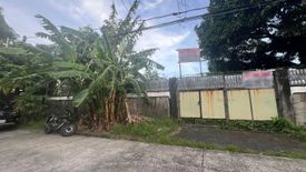 Land for sale in San Isidro, Metro Manila