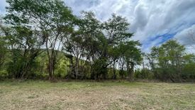 Land for sale in Luang Nuea, Chiang Mai