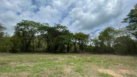 Land for sale in Luang Nuea, Chiang Mai