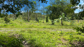 Land for sale in Lo Yung, Phang Nga