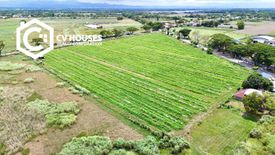 Land for sale in San Agustin Norte, Pampanga