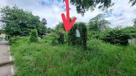 Land for sale in Suthep, Chiang Mai