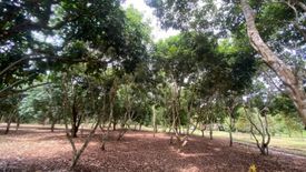 Land for sale in Khao Baisi, Chanthaburi