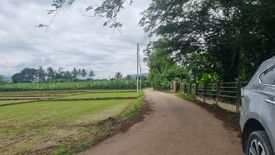 Land for sale in Kuet Chang, Chiang Mai