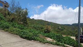 Land for sale in Pico, Benguet