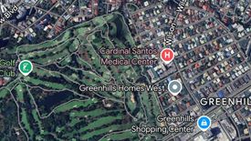 Land for sale in Addition Hills, Metro Manila