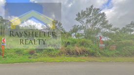 Land for sale in Magsaysay, Quezon