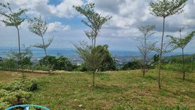 Land for sale in Guadalupe, Cebu