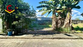 Land for sale in San Isidro, Pampanga