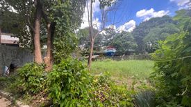 Land for sale in Santo Domingo, Rizal