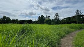 Land for sale in Santo Domingo, Laguna