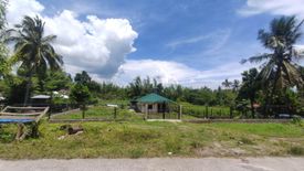 Land for sale in Maluay, Negros Oriental