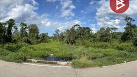 Land for sale in Pasemat, Narathiwat