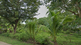 Land for sale in Candaping A, Siquijor