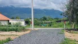 Land for sale in Mueang Kaeo, Chiang Mai