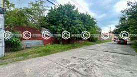 Land for sale in Santo Rosario, Pampanga