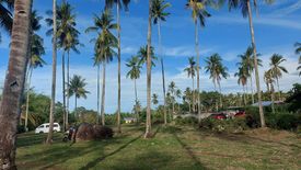 Land for sale in Bong-Ao, Negros Oriental