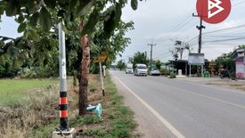 Land for sale in Bueng Phra, Phitsanulok