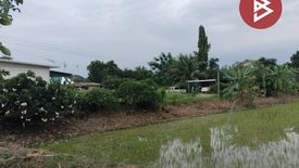 Land for sale in Bueng Phra, Phitsanulok