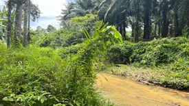 ขายที่ดิน ใน บางทอง, ท้ายเหมือง