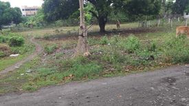 Land for sale in Bagacay, Negros Oriental