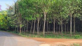 Land for sale in Tha Bun Mi, Chonburi