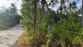 Land for sale in Tunga-Tunga, Negros Oriental