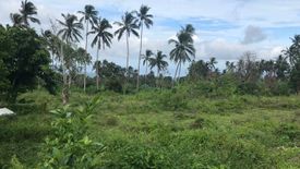 Land for sale in Mampas, Negros Oriental