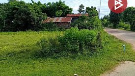 Land for sale in Nong Teng, Buriram