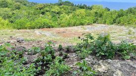 Land for sale in Kabkaban, Cebu