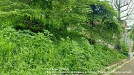 Land for sale in San Roque, Rizal