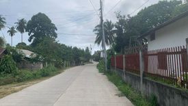 Land for sale in Junob, Negros Oriental