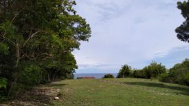 Land for sale in Bino-Ongan, Siquijor