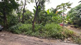 Land for sale in Rosario, Metro Manila