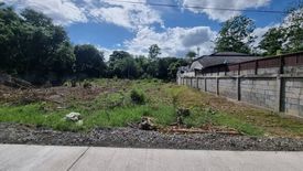 Land for sale in Ton Pao, Chiang Mai