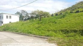 Land for sale in San Roque, Rizal