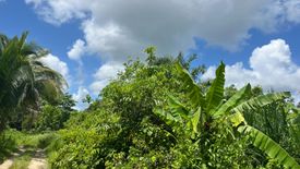 ขายที่ดิน ใน บางทอง, ท้ายเหมือง