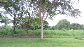 Land for sale in Canlubang, Laguna