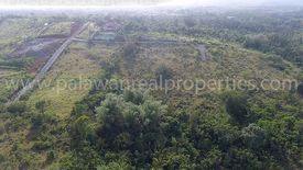 Land for sale in Luzviminda, Palawan