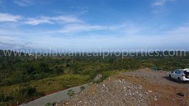 Land for sale in Luzviminda, Palawan