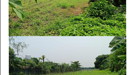 Land for sale in San Julian, Pangasinan