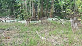 Land for sale in Talamban, Cebu