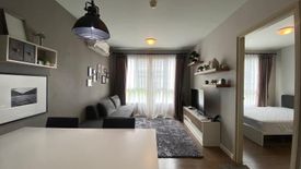 1 Bedroom Condo for rent in D Condo Nim, Fa Ham, Chiang Mai