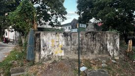 Land for sale in Moonwalk, Metro Manila