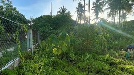 Land for sale in Catangnan, Surigao del Norte